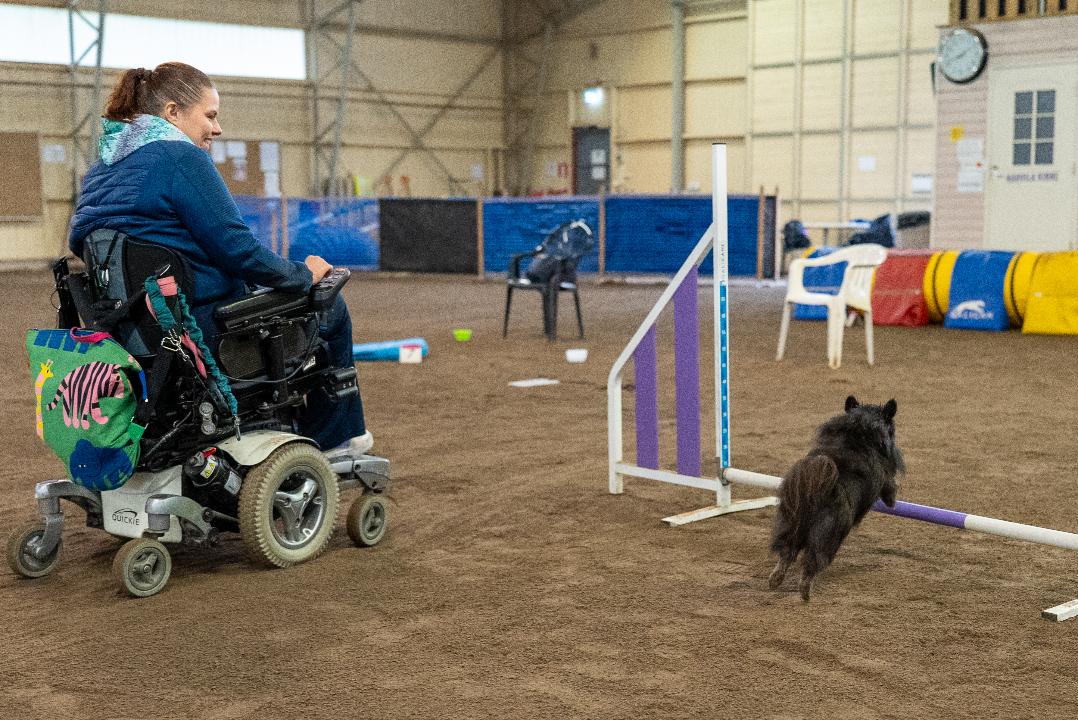 Kuvassa henkilö sähköpyörätuolissa ohjaa koiraa hyppäämään esteen yli.